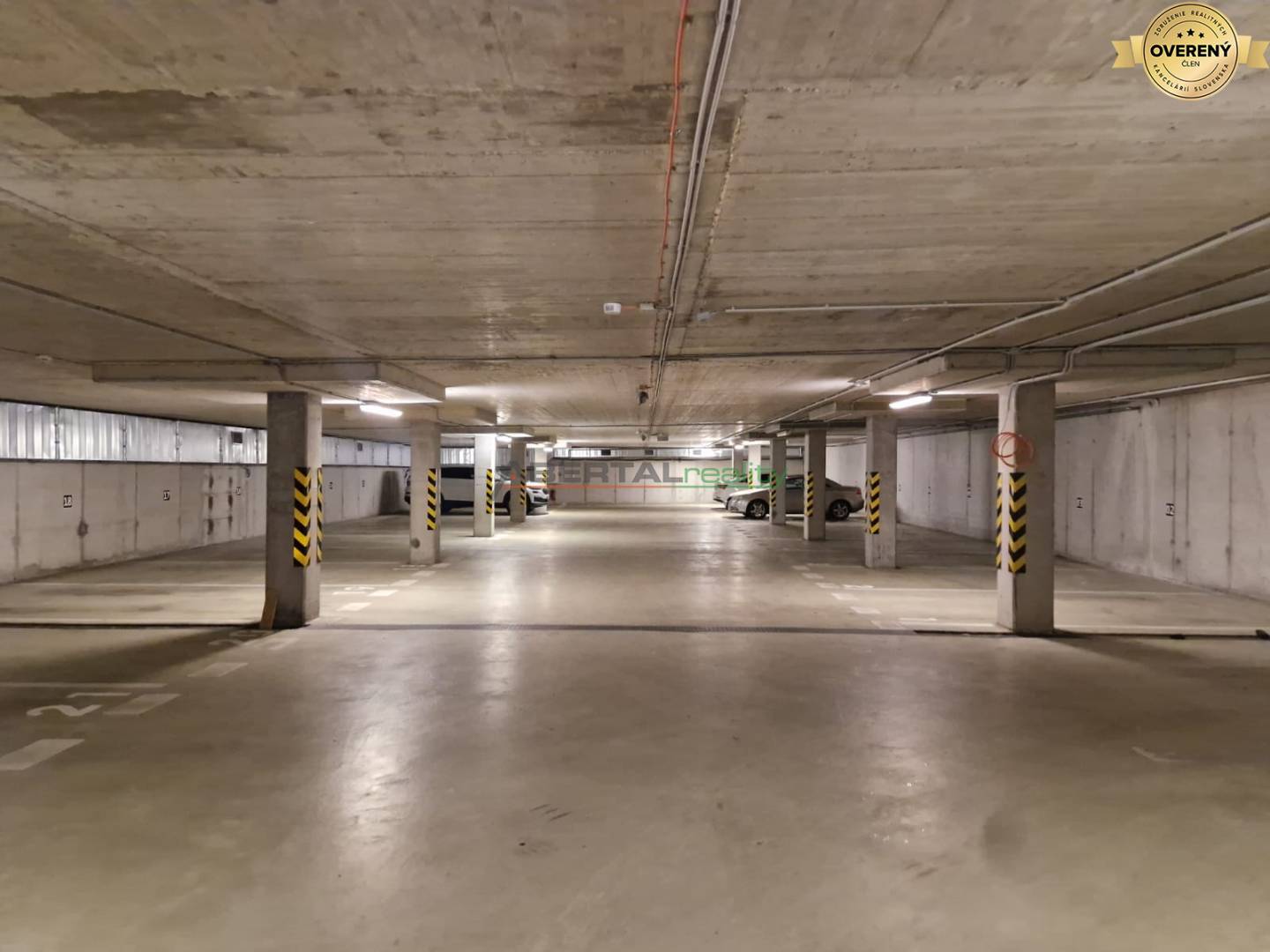 Obrázok WhatsApp 2025-07-07 o 21.14.33_5a32bc42.jpg