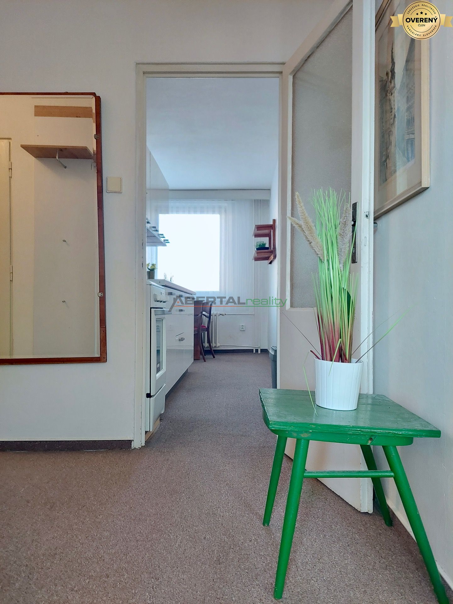 20250217_105303.jpg