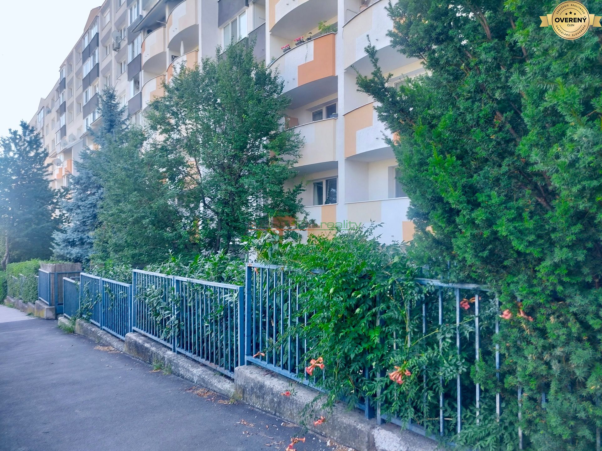 20260803_161348.jpg